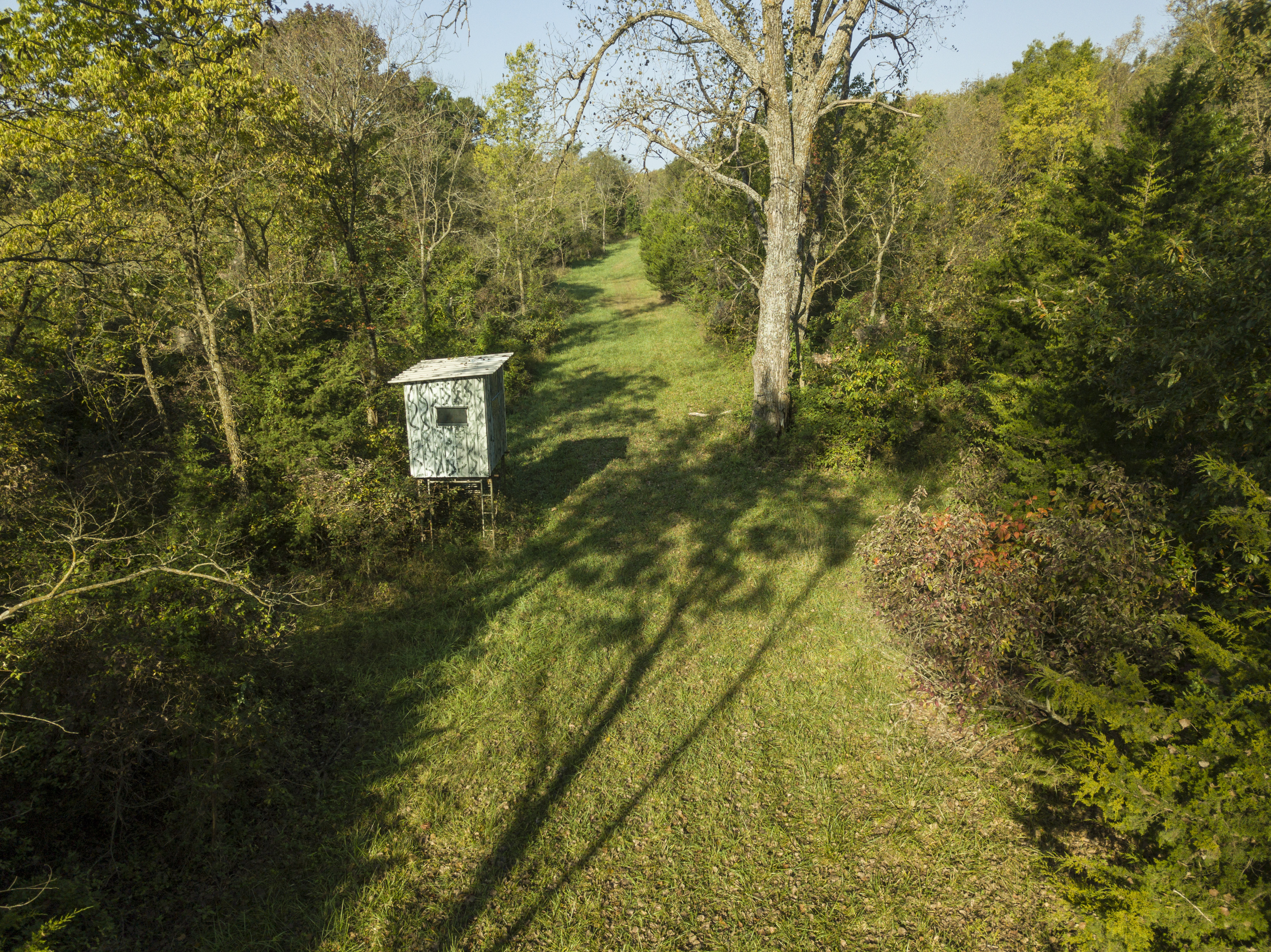 Aerial view of the lake